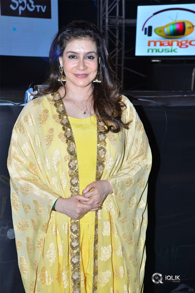 Chal-Mohan-Ranga-Pre-Release-Function-Photos